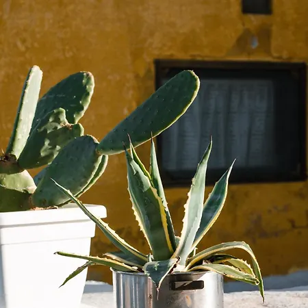 Holiday home Casa Lapilli