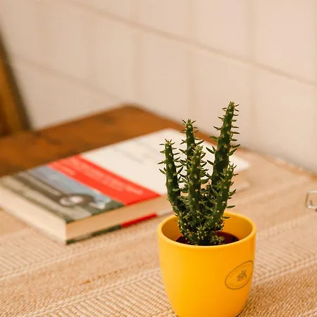 Casa Lapilli 폴리나노 아마레