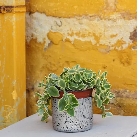 Casa Lapilli 폴리나노 아마레